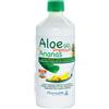 Aloe gel premium & ananas 1 litro