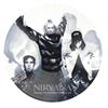 EVOLUTION hollywood rock festival 1993 (picture disc)