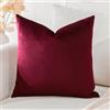Artscope Federe Cuscini in Velluto Minimalista Copricuscino Colorato per la Decorazione Domestica Soggiorno Camera da Letto Divano 60x60cm, Vino Rosso