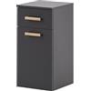 Schildmeyer Mobile base Duo 146588, antracite, 32,7 x 35,3 x 67 cm