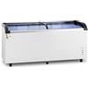 Royal Catering Congelatore a Pozzetto RCFZ-545G (545 L, 252 W, -30-5 °C, porte in vetro)
