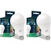 V-TAC VT-233 Lampadina LED A80 con Attacco Edison E27, 20 W (Equivalenti a 150 W), 2452 Lumen, 220-240 V, 50 Hz, Luce 3000K Bianca Calda, 80 x 155 mm (Confezione da 2)
