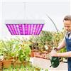 ele ELEOPTION Lampade per Piante Spettro Completo LED coltiva la Luce, Perfetto per Coltivazione Indoor Serra idroponica Grow Box Verdura Fiore Semina Crescita fioritura e fruttificazione (45W)