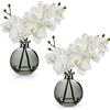 Hollyone 2 pezzi Orchidee artificiali bianche con vaso di vetro nero, pianta artificiale decorativa Orchidee artificiali in vaso con fiori a tocco realistico, Orchidee artificiali bonsai artificiali per hotel