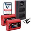 Baxxtar 2x DMW-BLK22 Batteria Protect V1 2600mAh + Caricatore Dual LCD (USB-C/Micro-USB) - per Panasonic Lumix S5 S5 II/IIX, G9, GH5/GH5 II/GH5S, GH6, GH7 - kit per video e set