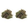 Rayher Muschio Piatto Seccato, Busta 100 G, 8508300 (Confezione da 2)