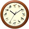 Belinlen Benail - Orologio da parete con uccello canto, 30,5 cm, con nomi e canzoni