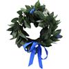 FOXNEC Corona di Alloro Laurea in Plastica Uomo Donna con Fiocco Nastro e Rose Finta per Festa Accessori (Corona-C)