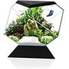 CIANO Aquarium Beta Nexus 5C nero