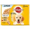 Pedigree Multipack di cibo umido per cani Junior in gelatina, Gusto Pollo Bue e Riso, 13 confezioni x 4 bustine x 100 g