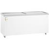 Royal Catering RCFGDF-550 Congelatore 550 L Con Porte in Vetro Bloccabili - Grande Capacità
