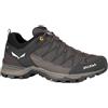 SALEWA MOUNTAIN TRAINER LITE GTX