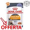 Royal Canin Cat Hair & Skin Care in Gelatina - Bustina Da 85 Gr - CONFEZIONE RISPARMIO
