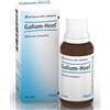 GUNA Galium 30ml Gtt Heel