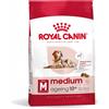 ROYALCAN ROYAL CANIN CANE AGEING 10 + MEDIUM DA 15 KG 15kg