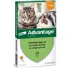 ELANCO ANTIPARASSITARIO ADVANTAGE SPOT-ON 40 PER GATTI & CONIGLI DI PESO INFERIORE 4 KG 4pz