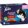 PURINA FELIX AGAIL GATTO GHIOTTONERIE JUNIOR 12 BUSTE DA 85 GR 85g