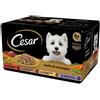 CESAR CANE SELEZIONE SPECIALE RICETTE DI CAMPAGNA IN SALSA MULTIPACK 8 PEZZI DA 150 GR 150g