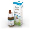 GUNA SpA Fiori Di Bach Centaury Guna 10ml
