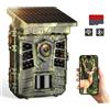 coolife Fotocamera da caccia solare 48MP WiFi/Bluetooth batteria ricaricabile + sched...