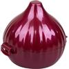 Gimel 544028 - Contenitore per alimenti a forma di cipolla, in policarbonato, con coperchio, per conservare le cipolle in cucina, frigorifero - L 9,5 cm x L 9 cm x H 10 cm