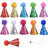BinPhorm Cappellini Festa Animali,10 PCS Mini Cappelli Compleanno per Cani Gatti con Pompon Regolabili per Cuccioli e Peluche Decorazione per Matrimoni Carnavali e Feste (Set Multicolore)