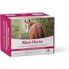 NBF Lanes | Ribes Horse - Supporto per la Barriera Cutanea e il Benessere della Pelle