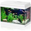 AQPET Acquario in Vetro per Pesci Tropicali Completo di Accessori Filtro Luce Simply, 30 39x22x30 cm 30 Litri, Bianco