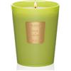M&SENSE Candele Profumate al Basilico e Zenzero, 400 g, Candele a Combustione Lenta con 75 Ore di Freschezza, Ideali per Cucine Moderne e Uffici
