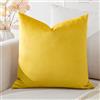 Artscope Federe Cuscini in Velluto Minimalista Copricuscino Colorato per la Decorazione Domestica Soggiorno Camera da Letto Divano 60x60cm, Giallo Dorato
