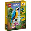 Lego PAPPAGALLO ESOTICO