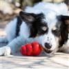Kong Dog Large Adult Snack 227gr Per Cane