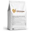 BONGIOVANNI FARINE E BONTA' NATURALI BONGIOVANNI Farine e Bontà Naturali Farina di Azuki Rossi Bio 250 g - Gusto Leggermente Dolce e Leguminoso