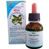 HERBOPLANET Srl MSA Fagus Sylvatica Herboplanet® 50ml