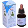 HERBOPLANET Srl Msa Aesculus Hippocastanum Herboplanet 50ml