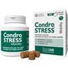 INNOVET ITALIA SRL CONDROSTRESS Mobility 60 compresse masticabili - per aiutare il tuo amico a 4 zampe a ritrovare la gioia del movimento!