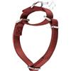 Dazzber Collare per cani Martingale, in nylon resistente, anti-fuga, per cani di taglia media e grande, per addestramento a piedi, uso quotidiano (M, rosso mattone)