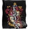 LOGOVISION HARRY POTTER Coperta, super morbida al tatto, 152 x 127 cm