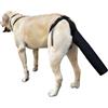 PEUTIER Protezione per la Coda del Cane, Protezione per la Coda del Cane Copertura per la Coda del Cane per Ferite per la Coda (Taglia M)