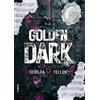 PubMe Golden Dark (Vol. 2): Luce e Oscurità (Collana Dark-Brightlove - PubMe)