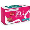 SANAVITA B VITAMINS B12 15 FLACONCINI