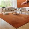 Paco Home Tappeto Moderno e Morbido per Soggiorno a Pelo Corto Lavabile Fluffy Uni Effetto Pelliccia Senza Tempo Elegante Antiscivolo Facile da Pulire, Dimensione:300x400 cm, Colore:Rame