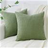 Topfinel Federe Cuscini 30x30 in Velluto a Coste Verde Salvia Decorative per Cuscino Divano Moderne Camera da Letto Soggiorno Balcone Set 2 Pezzi