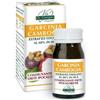 VIS GIORGINI SER-VIS Garcinia Cambogia Estratto Titolato 60 Pastiglie