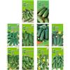 Nojaus Sėklos Nojus - Set di semi di cetriolo - 10 varietà - Kit di avviamento di semi di cetriolo vari - 10 confezioni - Semi da giardino - Semi Scatola di verdure 10 varietà - Scatola di semi