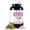 Alzuro Labs Berberina | 10.000 mg equivalente (500 mg 20:1 Estratto di Berberis Aristata) | 120 capsule vegane | stock di 4 mesi | GMP & Testato da Laboratorio Indipendente