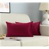 GIRASOLE HOME Coppia Federe Cuscini in Velluto Per Divano e Letto Copricuscini Antiacaro e Ipoallergenico Arredamento Casa con Zip Invisibile 2 pezzi (30x50cm, Bordeaux)