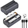 Pickle Power 2X2800mAh NP-F550 batteria di ricambio con ingresso di tipo C 4 indicatori di potenza LED per la luce video del LED NP-F550 F570 F960 F750 F770 F970 Monitor/Videocamera/Camera
