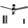 Vagizm Ventilatore da Soffitto con Luce Camera da Letto: Ventilatore da 132 cm con Telecomando - Adatto a Soggiorno, Interno ed Esterno - Silenzioso - 6 Velocità - Nero