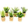 Flair Flower Set di 6 mini erbe artificiali in vaso di carta, piante artificiali, eucalipto, rosmarino, spinaci, timo, basilico, porri, erba da giardino, decorazione per cucina, soggiorno, 12 x 8 x 8 cm